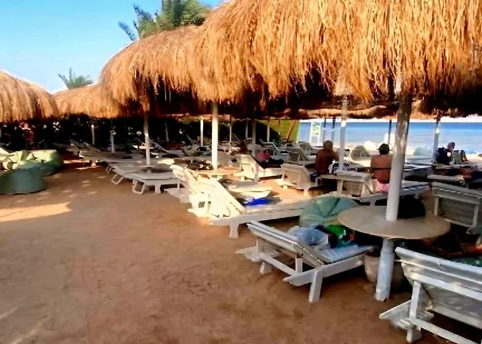 Hills Coral Reef Paradise 5* Sarm es-Sejk