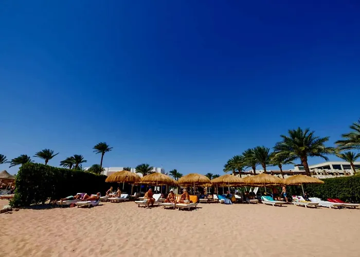 Hills Coral Reef Paradise Sarm es-Sejk
