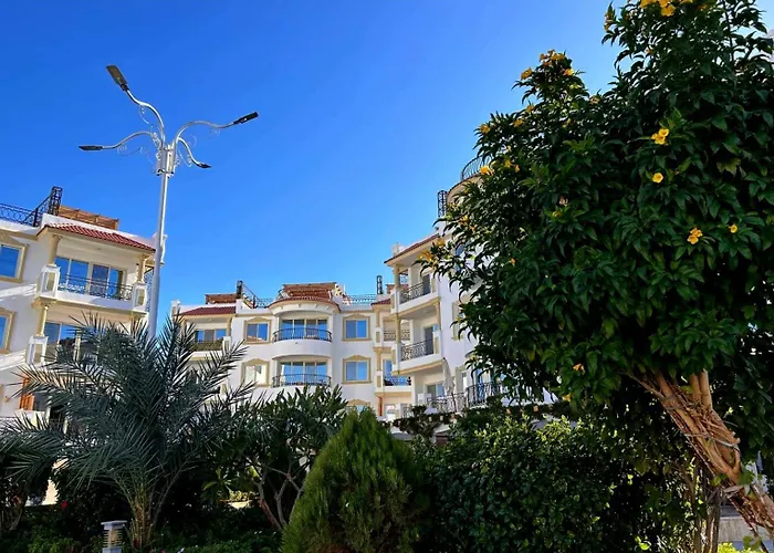 Hills Coral Reef Paradise 5* Sarm es-Sejk